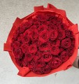 IMG-0944.jpg