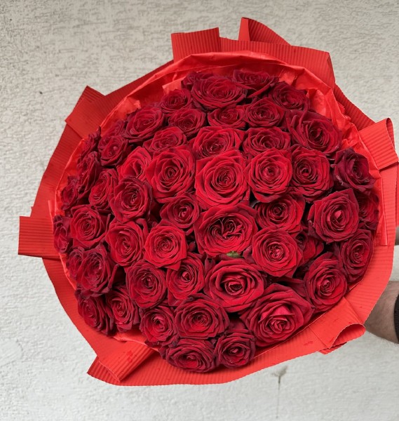 Roza czerwona (60 cm)