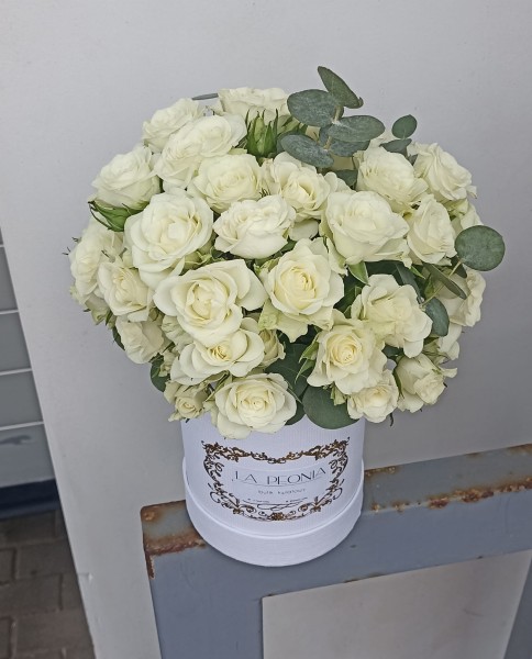 Flower Box White