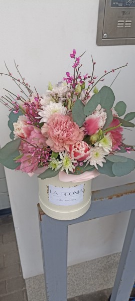 Flower Box Eukaliptus