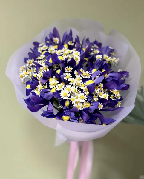 Bukiet 'Irys z Rumiankiem'
