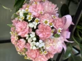 IMG-1357.jpg