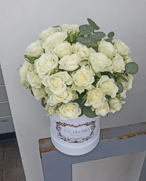 Flower Box White