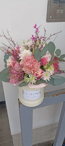 Flower Box Eukaliptus